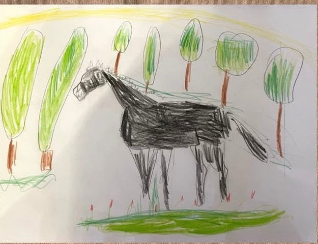 A child's crayon drawing of a black horse among trees